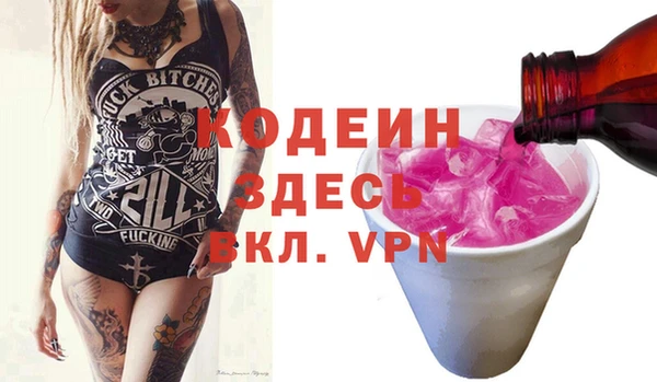 ПСИЛОЦИБИНОВЫЕ ГРИБЫ Арсеньев