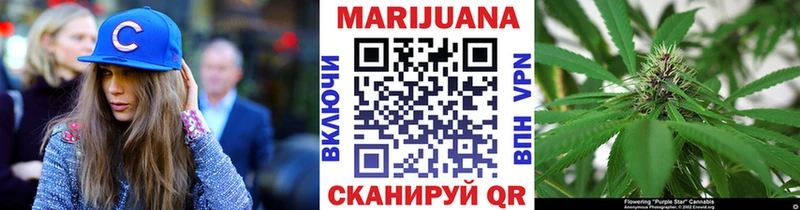 где найти наркотики  Магадан  Бошки Шишки ГИДРОПОН 
